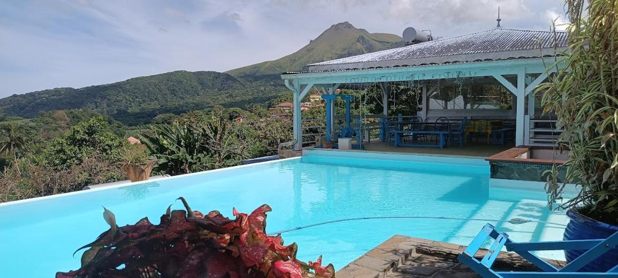 Villa Pelee - Chambre D'Hotes - Gite Tropical Le Morne-Rouge Exterior photo