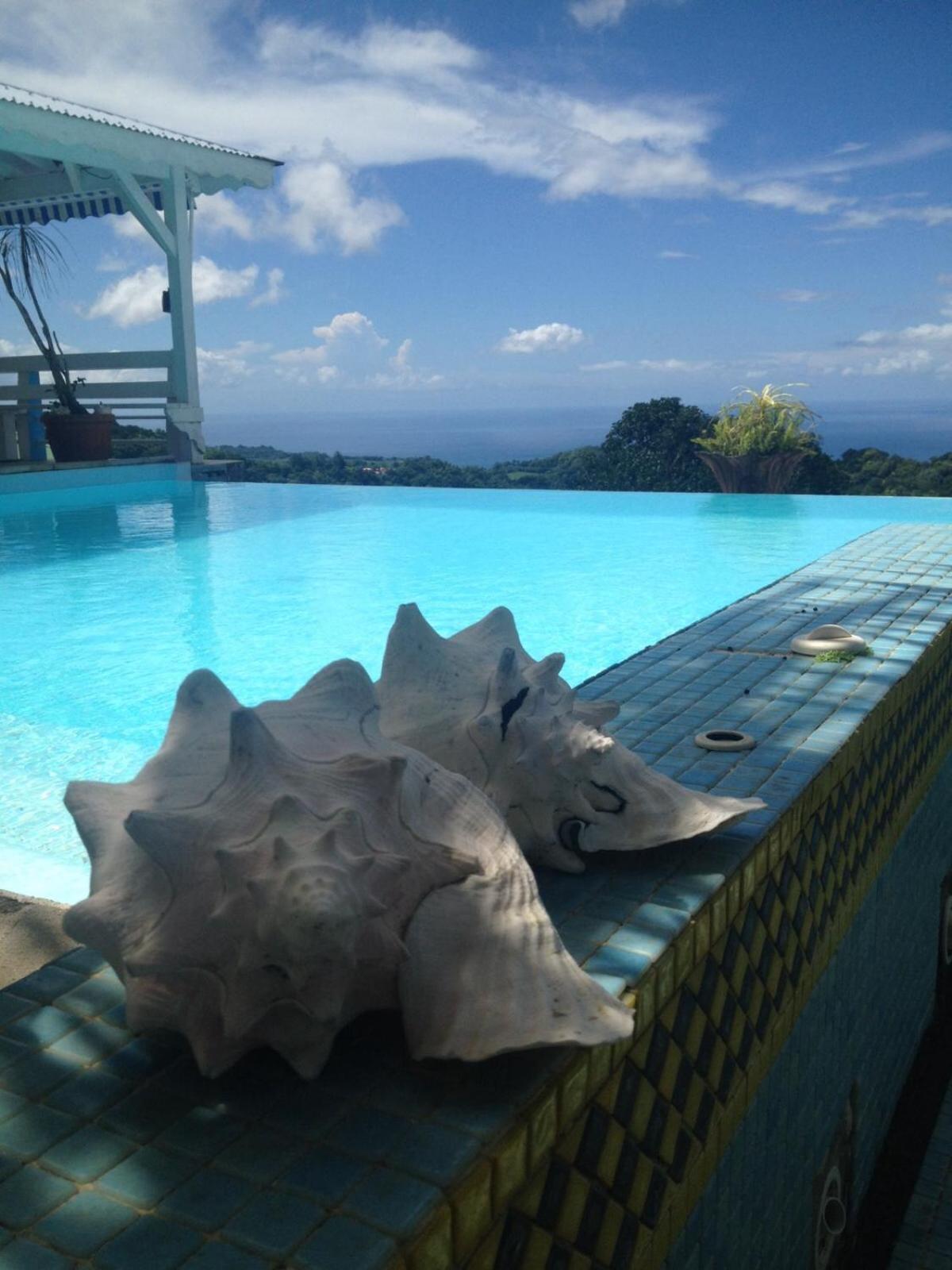 Villa Pelee - Chambre D'Hotes - Gite Tropical Le Morne-Rouge Exterior photo