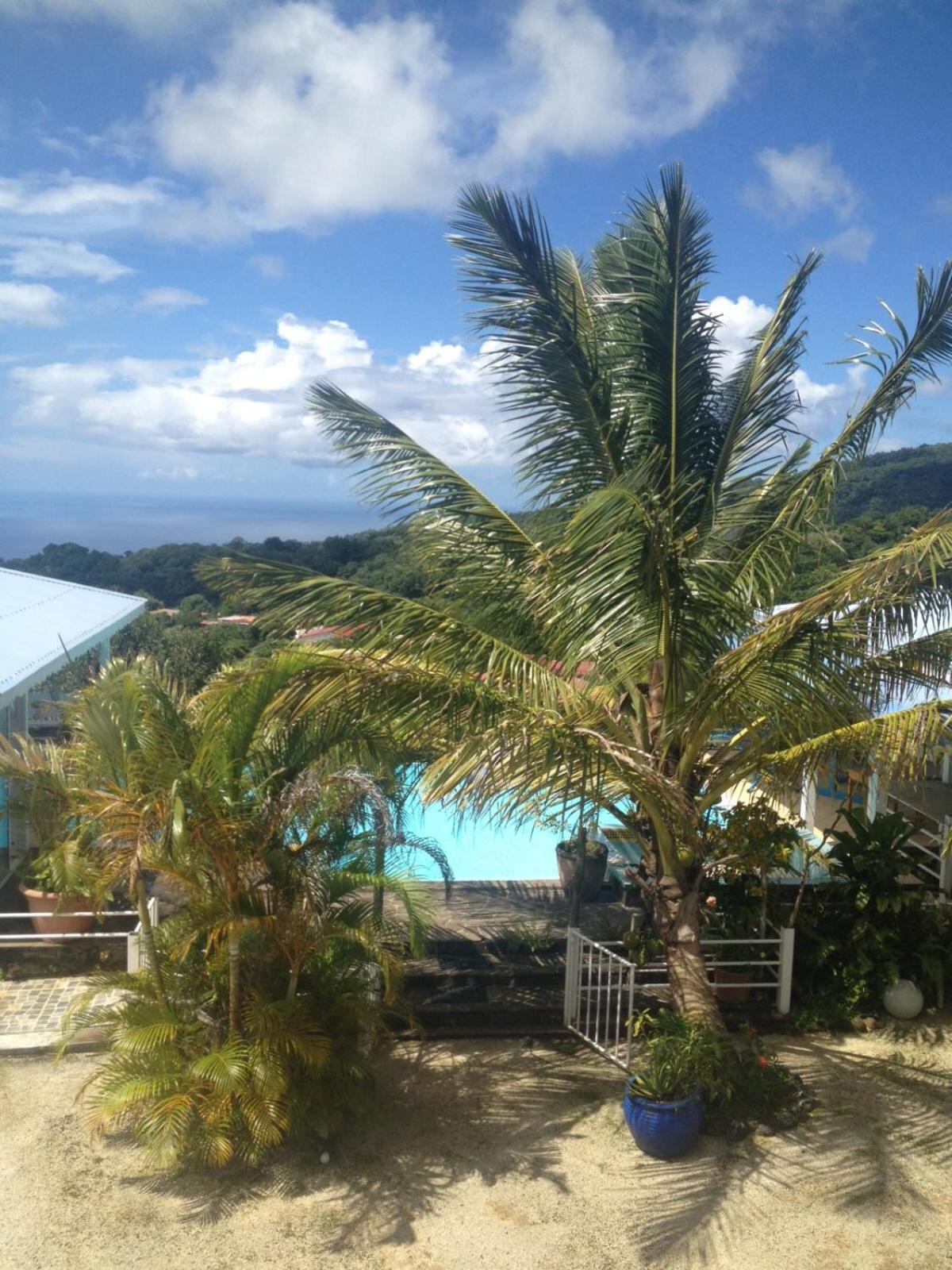 Villa Pelee - Chambre D'Hotes - Gite Tropical Le Morne-Rouge Exterior photo