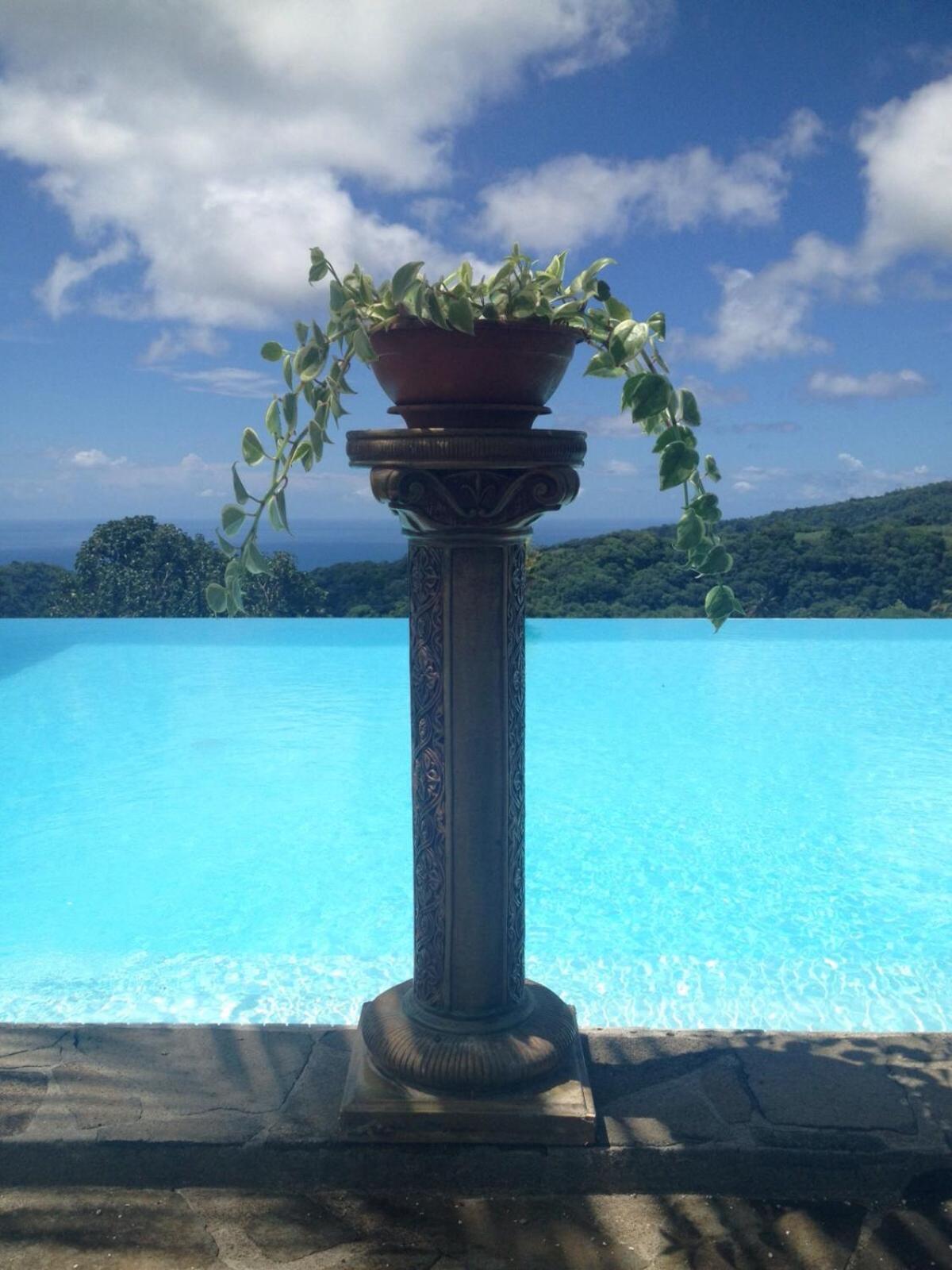 Villa Pelee - Chambre D'Hotes - Gite Tropical Le Morne-Rouge Exterior photo